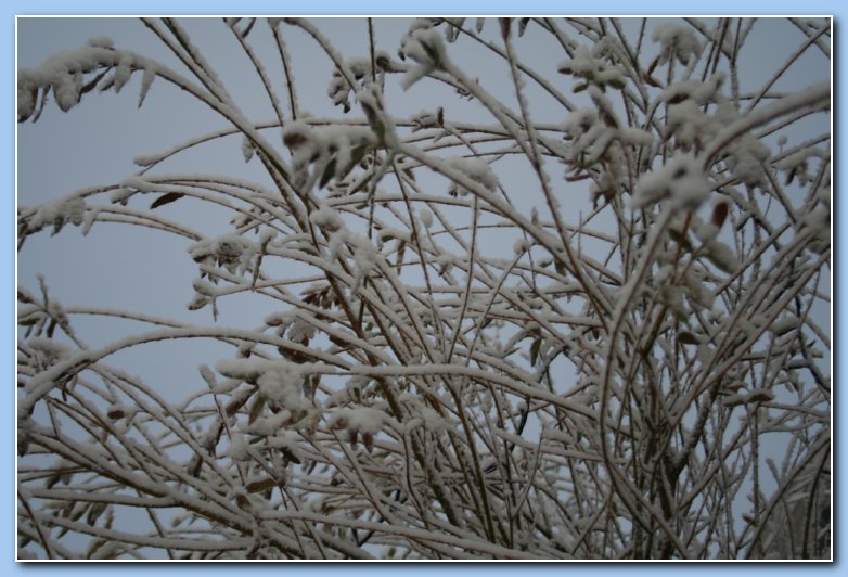 Arnhem Snow 030